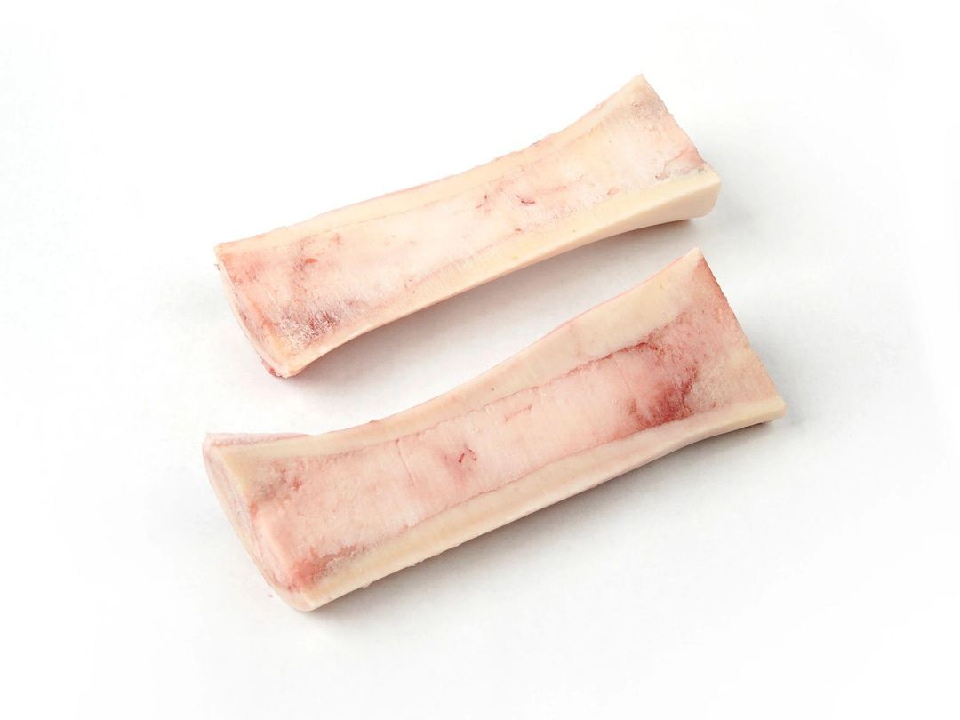 Bone Marrow